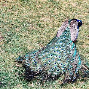 /Albums/9/993433 R4 22 23