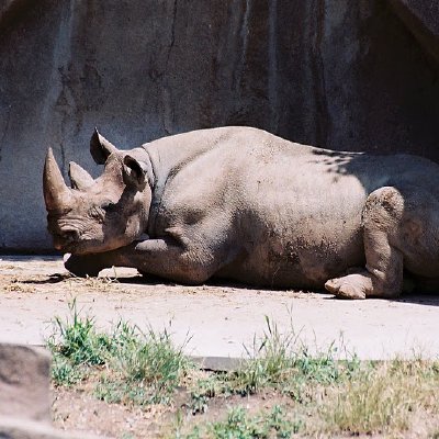 Jason's Trips - Album 2