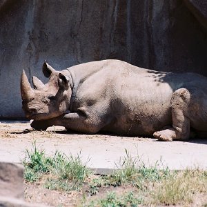 /Albums/9/993433 R4 25 26