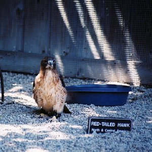 /Albums/9/993433 R4 28 29