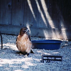 /Albums/9/993433 R4 29 30