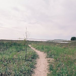 /Albums/9/993433 R5 01 2