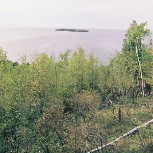 /Albums/9/993433 R5 02 3